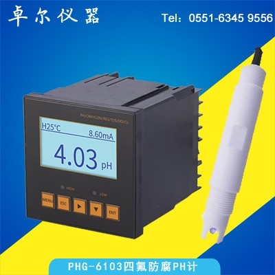 防腐PH計(jì)電極+PHG6103PH控制器